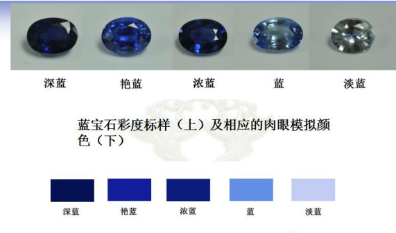 2024十二生肖49码